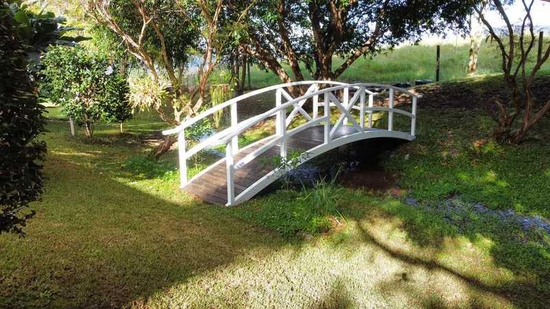 Custom fabricated footbridge